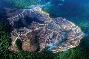 Vue aérienne des montagnes, jadis entièrement boisées, de la province de Jambi, à Sumatra. La déforestation dans le monde est responsable de 20 % des émissions annuelles de gaz à effet de serre.Des poumons…malades. Nécrosés par le défrichement, tailladés par les routes qui emportent les arbres et, avec eux, la bonne santé de la Terre. Les forêts absorbent près de la moitié des dioxydes de carbone émis par les activités humaines. Or chaque année, entre 13 et 15 millions d’hectares, soit un quart de la superficie de la France, disparaissent. En cause, l’expansion agricole, l’exploitation des mines, des hydrocarbures ou celle du bois. En Amazonie, la forêt cède la place aux champs de soja, destiné au bétail, ou de canne à sucre, pour la production de biocarburant… L’exploitation de l’huile de palme, la plus consommée au monde, fait de l’Indonésie la championne de la déforestation avec le Brésil. Les arbres sont les gardiens de la vie : 50 % des espèces végétales et animales se trouvent dans les forêts tropicales dont la moitié a déjà disparu. 