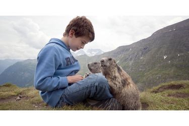 Matteo, 11 ans, a été adopté par un groupe de marmottes