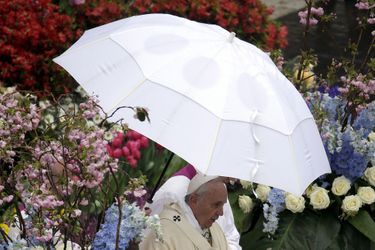 Le pape François prie pour le Kenya 