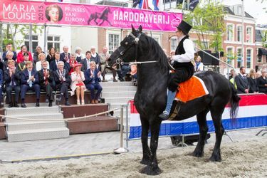 Le roi Willem-Alexander des Pays-Bas à Leeuwarden, le 20 juin 2015