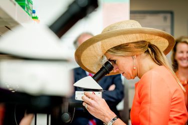 La reine Maxima des Pays-Bas au Van Andel Institute à Grand Rapids, le 2 juin 2015