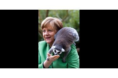 Un lémurien s'est posé sur l'épaule d'Angela Merkel