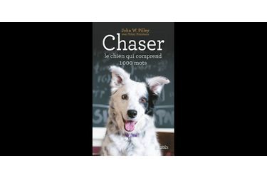 Chaser, le chien qui comprenait 1000 mots