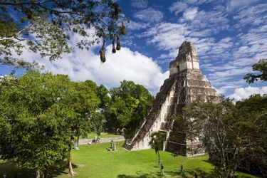 Temple du Grand Jaguar, Tikal