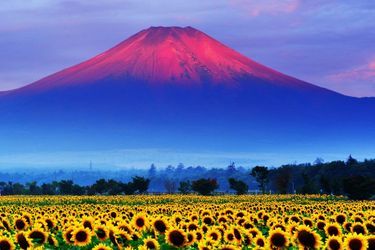 Le Mont Fuji en couleurs
