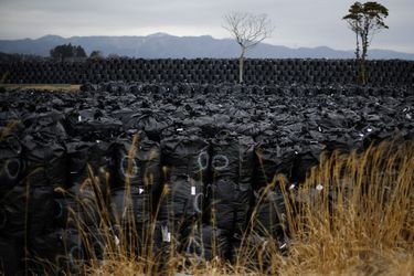 Quatre ans après la catastrophe  - Fukushima