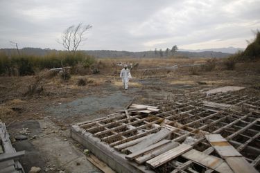 Quatre ans après la catastrophe  - Fukushima