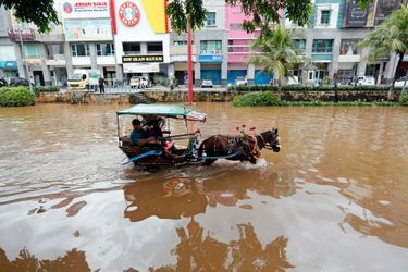 Passenger rides in a horse-drawn carriage down a flooded street after continuous heavy seasonal rains inundated many parts of Jakarta