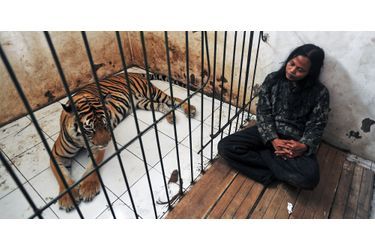 Depuis huit ans, Abdullah s&#039;occupe du tigre Mulan
