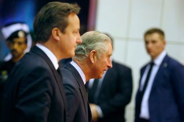 Le prince Charles et David Cameron à Riyad, le 24 janvier 2014