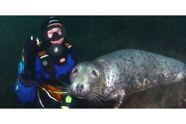 Ben Burville, un médecin passionné par la plongée sous-marine, nage régulièrement dans les eaux des îles Farne, un archipel situé au large du Northumberland, en Angleterre.Retrouvez le diaporama ici<br />
