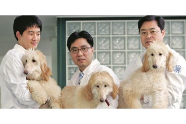 A Séoul, le laboratoire Sooam Biotech, spécialisé dans la recherche cellulaire, finance ses études grâce au clonage canin. Dirigé par Hwang Woo-suk, pionnier très controversé de la génétique, il a déjà reproduit plus d’une centaine de chiens dont les renifleurs douaniers de l’aéroport de Séoul. Mais aussi des animaux de compagnie pour stars inconsolables. Bienvenue dans la première usine de chiens au monde.Retrouvez l&#039;article ici<br />

