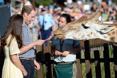 Impressionnante cette langue de girafe, pour Kate et William, à Sydney le 20 avril 2014