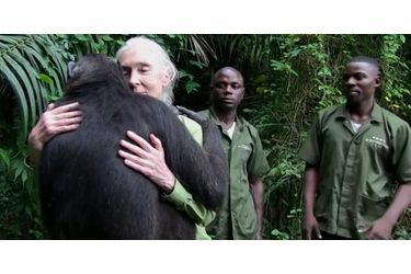 Ils ont des destins émouvants, drôles ou tristes. Retrouvez en images les meilleures histoires animalières de l&#039;année 2014.Retrouvez Animal Story sur Facebook<br />
, Twitter<br />
 et Instagram<br />
.Docteur en éthologie, Jane Goodall travaille depuis des décennies pour la remise en liberté de chimpanzés. Dans une vidéo touchante, elle est chaleureusement remerciée par un de ces animaux.Retrouvez l&#039;article ici<br />
