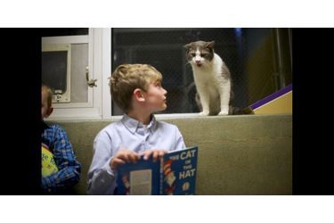 Un refuge pour animaux de Birdsboro, en Pennsylvanie, a mis au point le programme Book Buddies: des enfants qui apprennent à lire ou qui ont des difficultés à s&#039;exprimer font la lecture à des chats de l&#039;établissement, qui bénéficient en retour d&#039;une présence et de l&#039;attention de leurs visiteurs.Retrouvez le diaporama ici<br />
