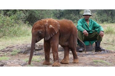 Le 15 mai dernier, le David Sheldrick Wildlife Trust<br />
, au Kenya, a été appelé à propos d&#039;un éléphanteau pris pour cible par des villageois. Les habitants de la réserve de Naibunga, furieux de la mort d&#039;une femme, tuée par un éléphant du troupeau de Mbegu, ont pris en chasse l&#039;éléphanteau à l&#039;aide de pierres.Retrouvez le diaporama ici<br />
