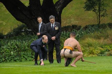 Pas si simple les traditions de Nouvelle-Zélande, n&#039;est-ce pas William, à Wellington le 7 avril 2014