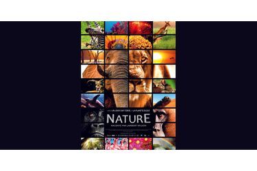 Découvrez les images renversantes de "Nature" - En salles le 24 décembre