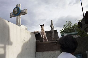 Vivre au milieu d’un cimetière - Bidonville à Manille