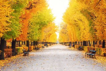 Un parc aux couleurs de l&#039;automne