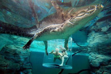 Darwin en Australie avec les crocodiles géants