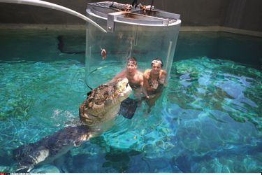Darwin en Australie avec les crocodiles géants