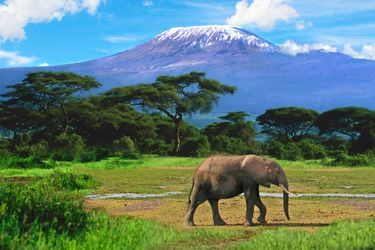 Kilimandjaro (Tanzanie)