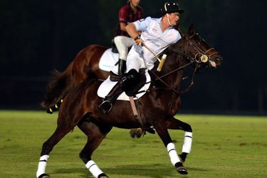 Le prince Harry participe à la Coupe de polo Sentebale à Abou Dhabi, le 20 novembre 2014