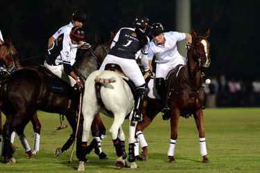 Le prince Harry participe à la Coupe de polo Sentebale à Abou Dhabi, le 20 novembre 2014