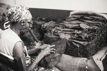 Une Cubaine à la fabrication de cigares