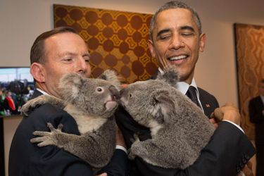 Jimbelung, le koala qui fait fondre les chefs d’Etat - Au sommet du G20 