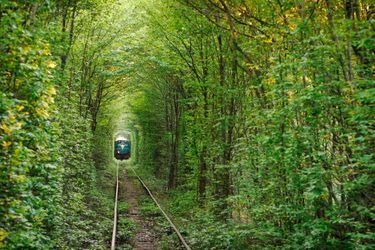 Le Tunnel de l&#039;amour de Klevan suit une ancienne ligne de chemin de fer industrielle désaffectée où une végétation dense composée d&#039;arbres et des arbustes entrelacés forme un tunnel vert à travers la forêt. Ce chemin est réputé pour être un endroit magique et romantique réservé aux balades pour les amoureux.