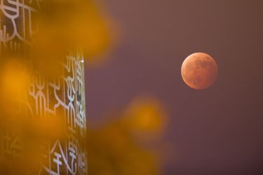 L'éclipse totale de lune n'était visible que depuis l'Asie et l'Amérique