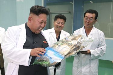 Kim Jong-un a visité une usine agroalimentaire de Pyongyang