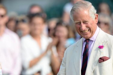 Le prince Charles au Guards polo club de Windsor, samedi 
