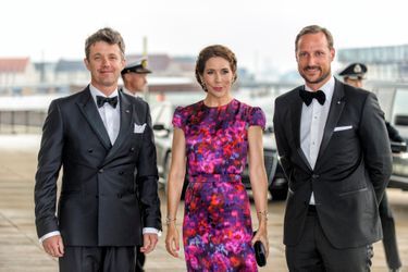 Royal Blog - Le famille royale danoise reçoit ses voisins norvégiens