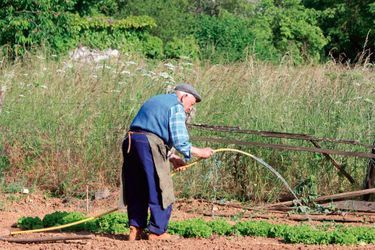 Amandine Cabaret. Paul le jardinier, 86 ans.