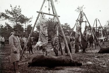 Des carcasses d&#039;animaux sur le point d&#039;être cuisinées par des soldats, sur le front de Champagne.