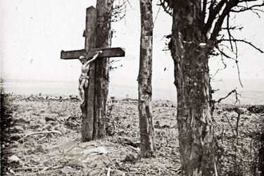 Une croix posée sur un arbre à Fricourt, sur le front de la Somme.