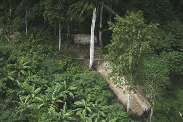 Au cœur de l'Amazonie, une tribu toujours isolée  - En photos