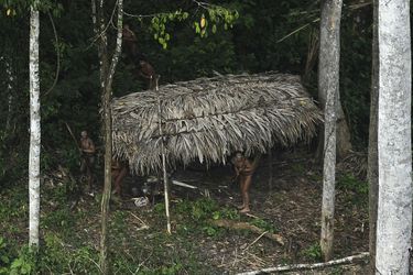 Au cœur de l'Amazonie, une tribu toujours isolée  - En photos