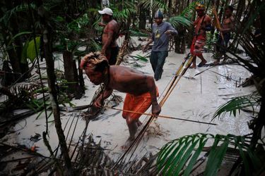 Les indiens Munduruku vivent depuis des millénaires sur le territoire de l'ouest de l'Etat de Para, au Brésil. Outre ce combat contre les chercheurs d'or, ils manifestent aussi depuis des années contre la construction d’un barrage sur la rivière Tapajós. En novembre 2012, un des leurs avait été tué d’une balle dans la tête par la police.