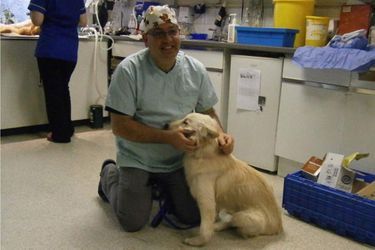 La belle histoire de Sandy, chien miraculé - Sauvé par une touriste émue