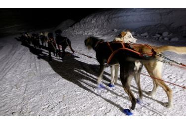 Les chiens du traineau sont prêts. Ils attendent le départ de la prochaine étape de La Grande Odyssée, une course de plus de 1000 km à travers les Alpes françaises.