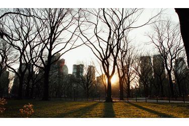 Le soleil apparaît derrière les arbres de Central Park, à New York. La journée du 31 janvier a été exceptionnellement douce, selon la presse locale.