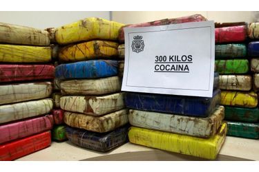 La police espagnole a démantelé le plus gros laboratoire de drogue jamais vu en Europe. Plus de 300 kilos de cocaïne y ont été retrouvés. 