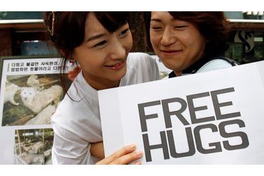 En Corée du Sud, une activiste de la protection des animaux offre des &quot;Free Hugs&quot; (&quot;Câlins gratuits&quot;) aux passants.