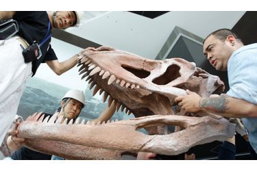 Le paléontologue argentin Abel Martinez (à droite) et des ouvriers japonais installent la réplique d&#039;un crâne fossilisé de Fasolasuchus, un dinosaure long de 8 mètres, dans le hall du Roppongi Hills à Tokyo, pour l&#039;exposition intitulée L&#039;Aube des dinosaures dont l&#039;inauguration est prévue le 10 juillet.