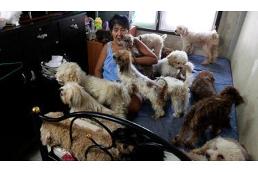 Manee Sangchan, 67 ans, joue avec des chiens à son domicile dans la banlieue de Bangkok. Manee a pris en charge des centaines de chiens errants et des animaux domestiques abandonnés par leurs propriétaires. Dans sa maison de 400 mètres carrés, elle s’occupe de ces animaux depuis plus de 40 ans. Manee a actuellement plus de 500 chiens et dépense 60 euros chaque jour pour prendre soin d’eux.