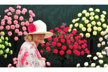 Une femme coiffée d&#039;un chapeau orné d&#039;une rose admire les magnifiques fleurs de l&#039;exposition annuelle de Hampton Court près de Londres, qui célèbre son 20ème anniversaire en ce 6 juillet 2010.